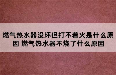 燃气热水器没坏但打不着火是什么原因 燃气热水器不烧了什么原因